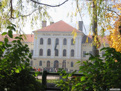 Filiala Brasov